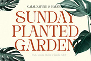 Stylish Average - Elegant Alternates, a Serif Font by Shakira Studio (Thumbnail 5 of 10)