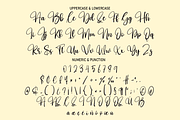 Grinch | Script Font, a Script Font by Scratchones (Thumbnail 2 of 8)