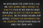 Roxante - Modern Serif Font, a Serif Font by Almeera Std (Thumbnail 4 of 6)