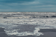 Coastal bundle, 15 photos, a Nature Photo by Frostroomhead (Thumbnail 6 of 16)