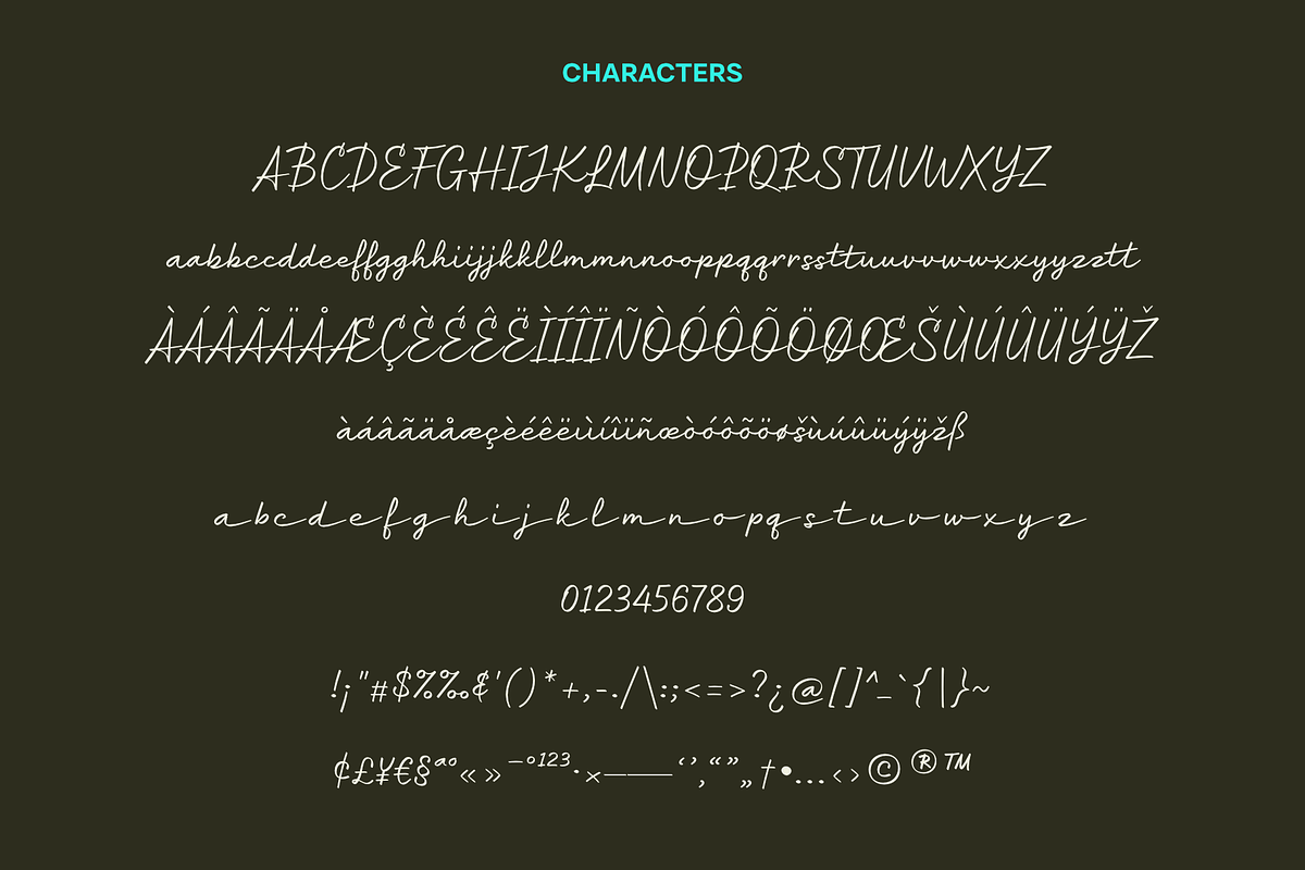 Adelaila, a Script Font by Sikifonts (Photo 9 of 9)