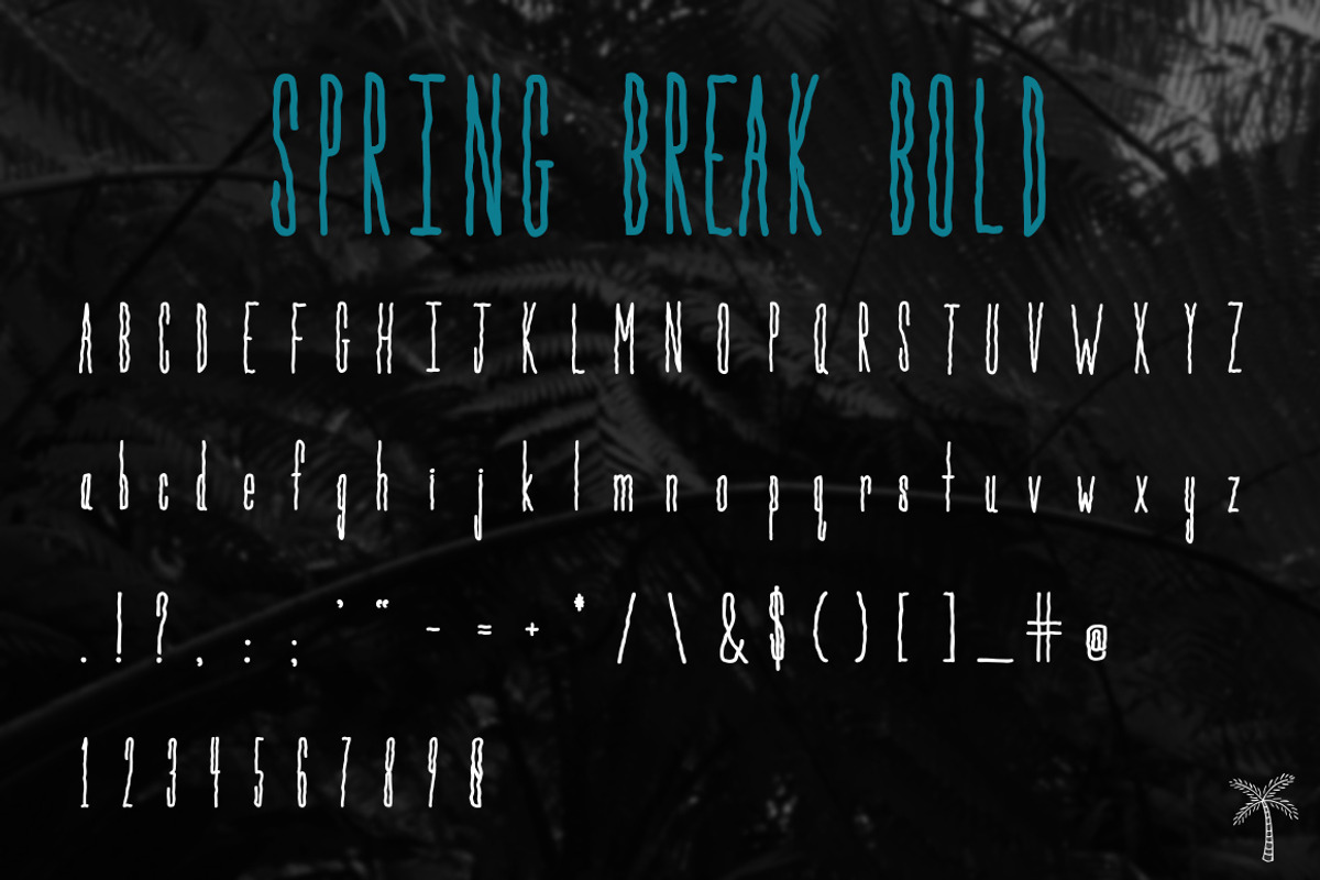 Spring Break Font + Bonus Graphics preview 5