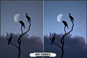 Night and Low Light LUTs, a Plug-in Add-On by Raztrend (Thumbnail 8 of 30)