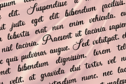 Dearllane Elegant Script, a Script Font by Basnistudio (Thumbnail 4 of 9)