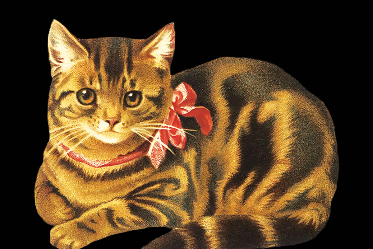 Vintage Cat Painting, an Illustration by Professional Assets (Photo 1 of 3)