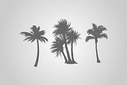 25 Tropical Designs (Vector), an Object Graphic by BIOWORKZ (Thumbnail 5 of 5)