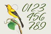 Nostalgic Pictures Calligraphy Font, a Script Font by Letterena Studios Script (Thumbnail 9 of 15)