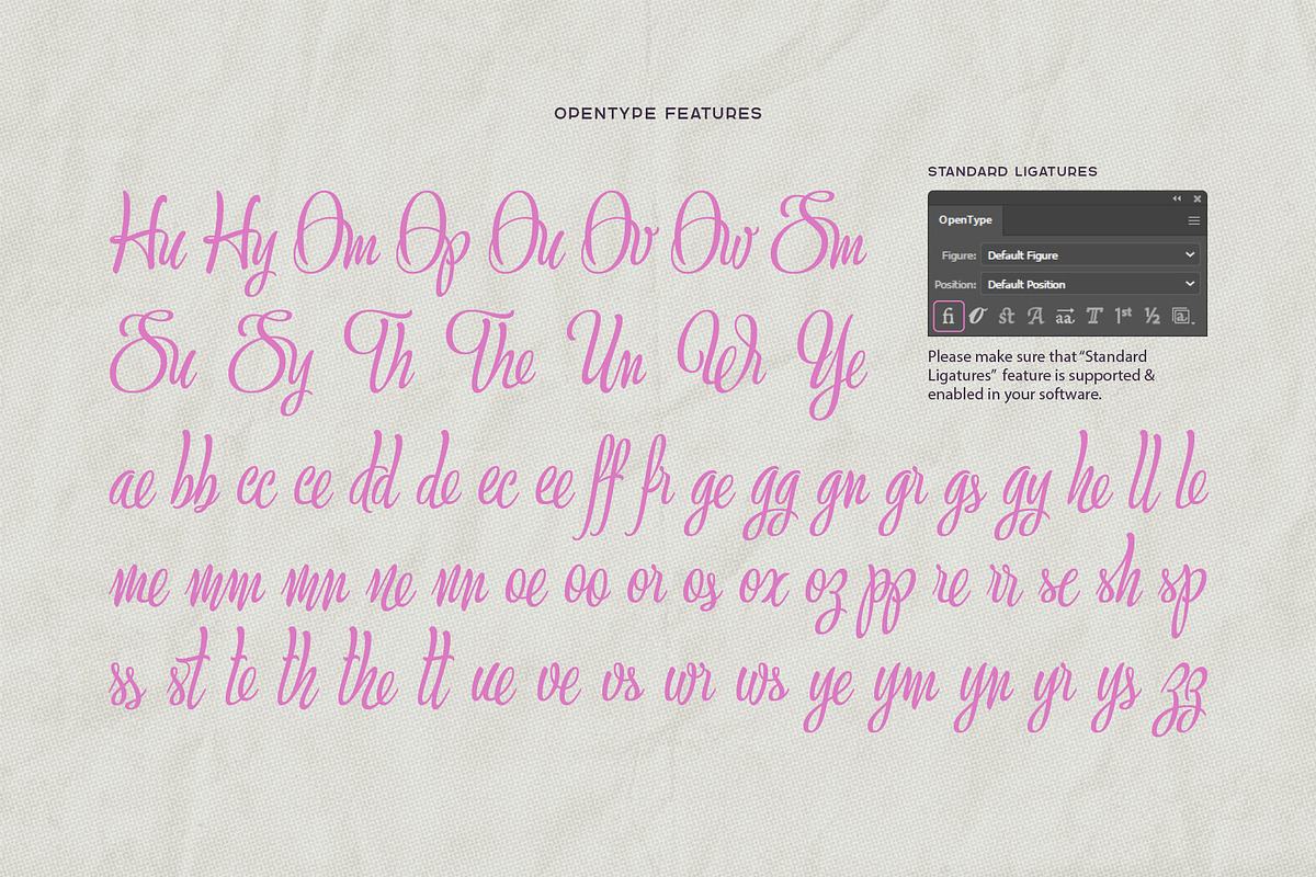 Bettys Rolling Script, a Script Font by Gleb Guralnyk (Photo 6 of 8)