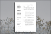 Professional Resume Template, a Resume Template by introDuice - CV / Resumes (Thumbnail 2 of 7)