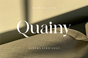 Quainy Modern Serif Font, a Serif Font by Dylla_studio (Thumbnail 1 of 12)