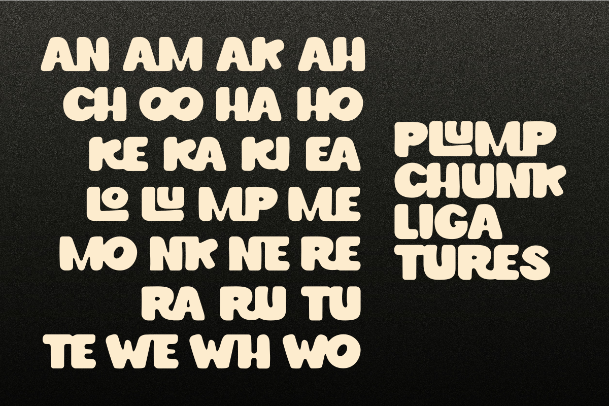 Plump Chunk - Display Font, a Sans Serif Font by SaktiAvellin (Photo 6 of 7)