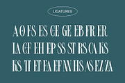 FROLES Modern Serif Font, a Serif Font by Alfinart (Thumbnail 8 of 9)