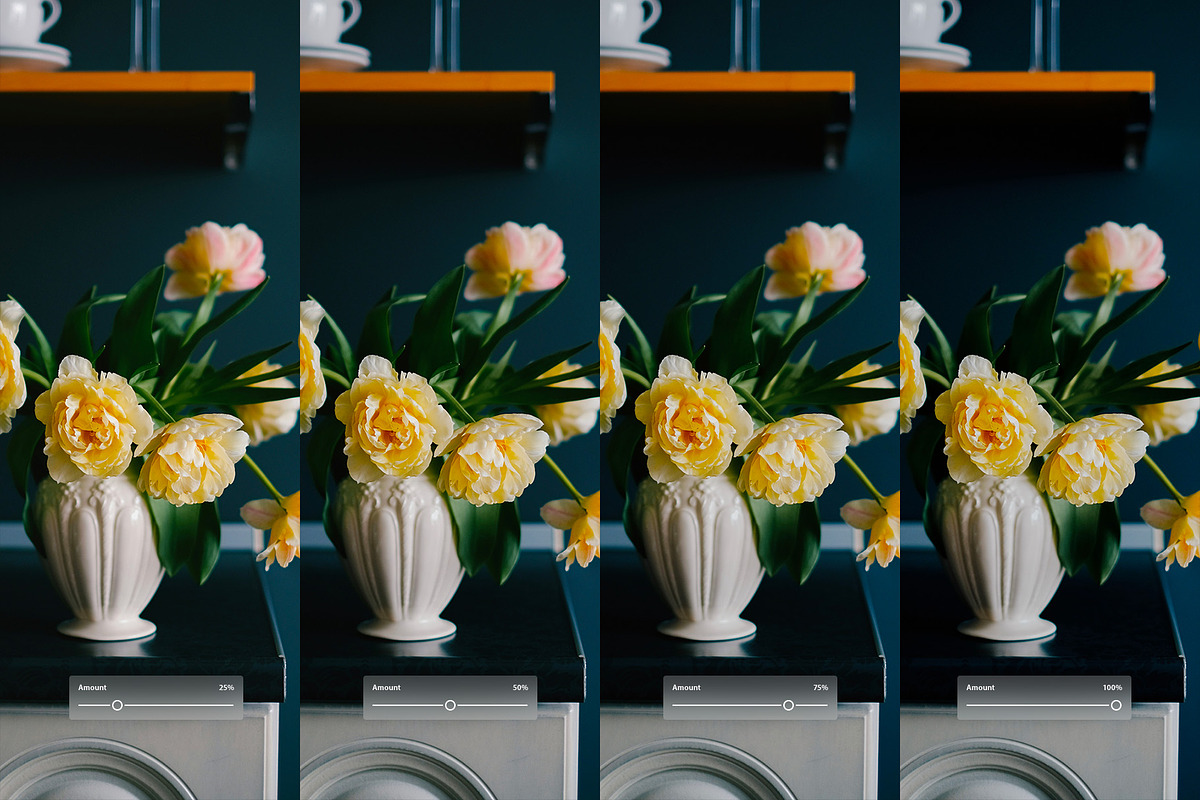 Kodak Elite Chrome, a Preset Add-On by colorituals (Photo 2 of 8)