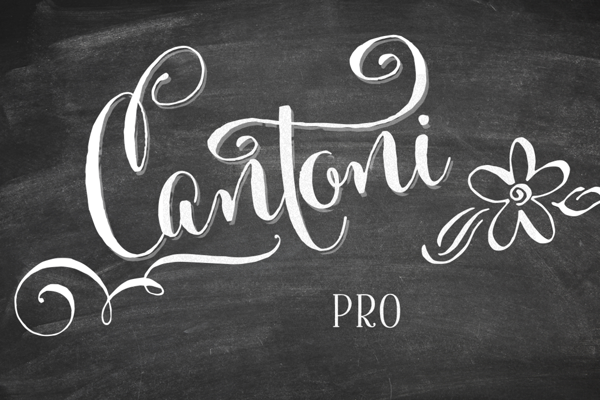Cantoni Pro Hand Lettered Font, a Script Font by Debi Sementelli (Photo 1 of 4)