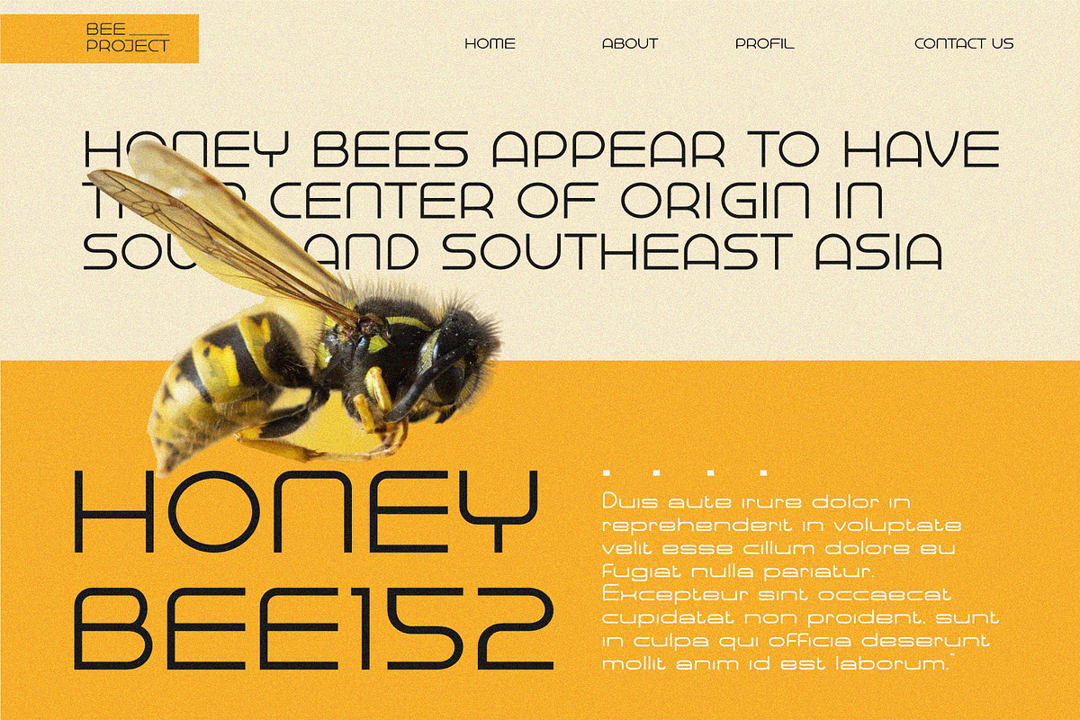 Baqeut Enosan|| Unique Display Font, a Sans Serif Font by Idea Studio (Photo 3 of 5)
