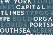Everything Bundle - 2015 TO 2025, a Font by Good Times Type (Thumbnail 3 of 5)
