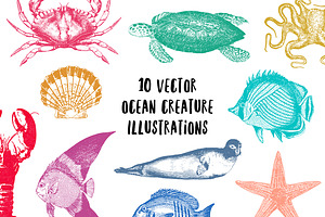 10 Vector Ocean Illustration Pack