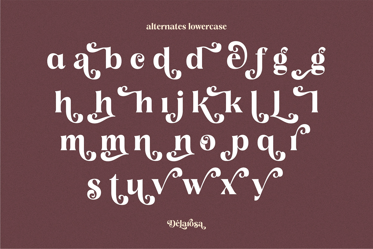 Delarosa - A Decorative Serif, a Serif Font by agnyhasyastudio (Photo 13 of 17)