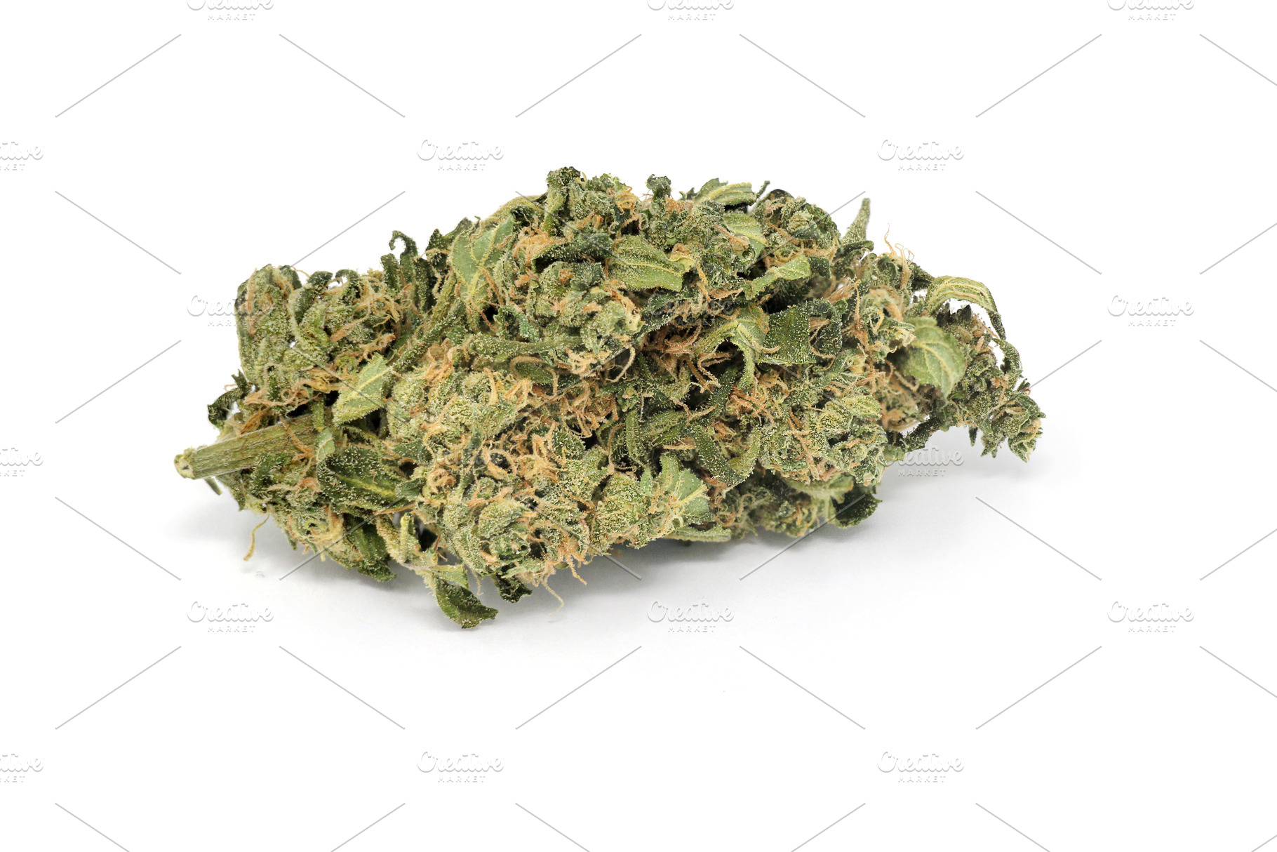 Cannabis marijuana weed close up, a Nature Photo by Kohl + Cole