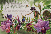 Watercolor Vintage Botany, an Illustration by Fluffy Unicorn (Thumbnail 1 of 10)