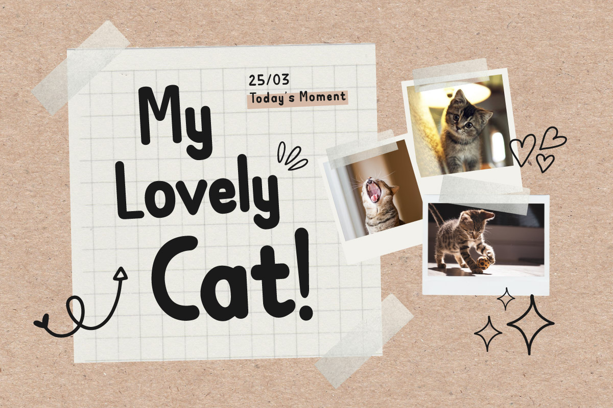 Badjing - Handwritten Font, a Sans Serif Font by trabaskriya (Photo 3 of 8)