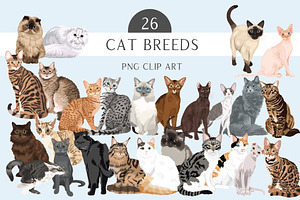 Cat Breeds Clip Art Illustrations