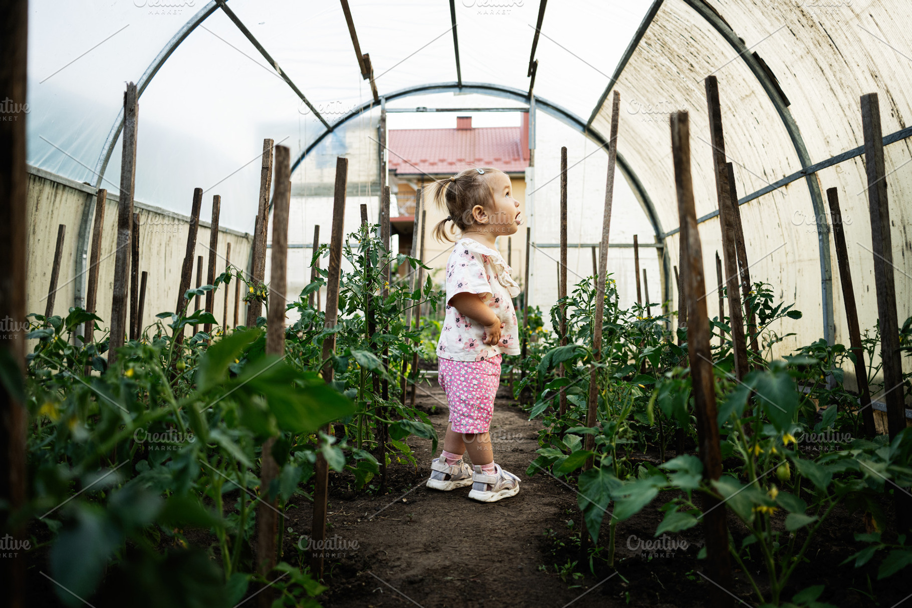 Young child exploring a greenhouse surrounded by growing plants, a Person Photo by AS photostudio