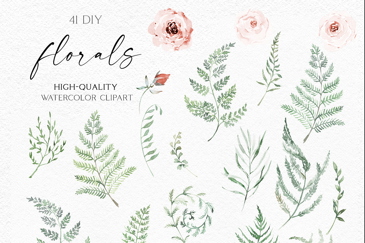 Watercolor Fern and Roses, an Object Illustration by Olga Koelsch (Photo 14 of 15)