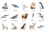 Arctic Animals Adventure, an Animal Illustration by BrushstrokeArtGB (Thumbnail 3 of 9)