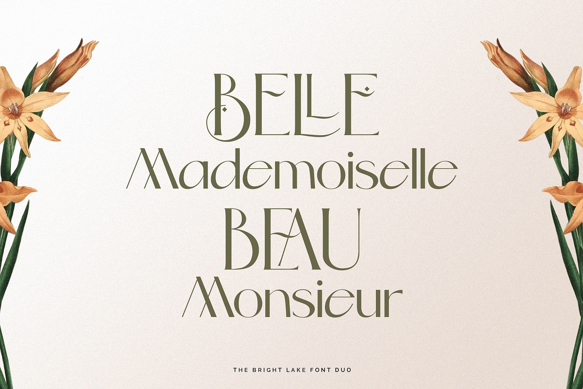 The Bright Lake Font Duo + Logos, a Serif Font by SNIPESCIENTIST (Photo 26 of 31)