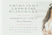 Xandria - Modern Calligraphy Font, a Script Font by Balpirick Studio (Thumbnail 6 of 7)