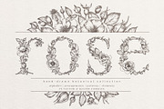 rose | botanical illustrations, an Illustration by Sophia J Caldwell (Thumbnail 1 of 23)