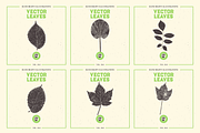 VECTOR LEAVES HAND DRAWN BUNDLE v20, a Decorative Illustration by pawellpi (Thumbnail 6 of 7)