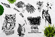 BUNDLE WILD ANIMALS VECTOR, an Animal Illustration by AnastasiyaOleynik (Thumbnail 9 of 20)