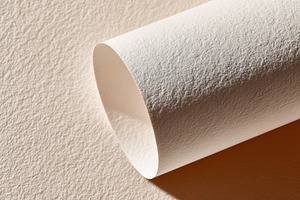 Paper roll lies on light surface, a Photo by Beautiful things