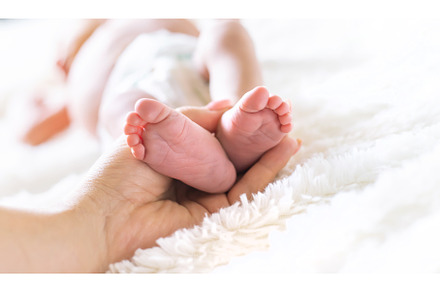 newborn baby mom holds legs, a Person Photo by yanadjana