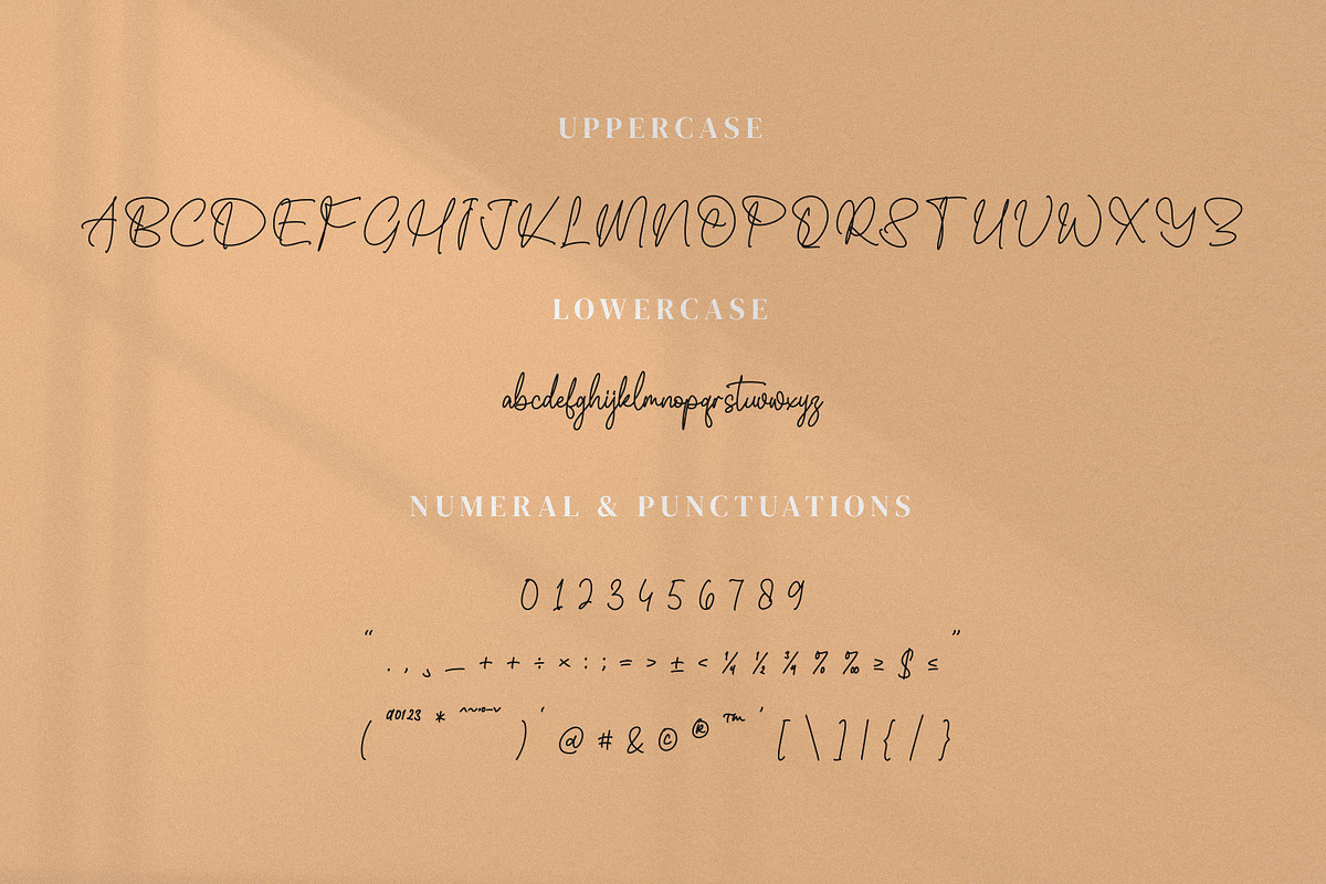 Whitteney, a Script Font by Integritype Studio (Photo 9 of 15)