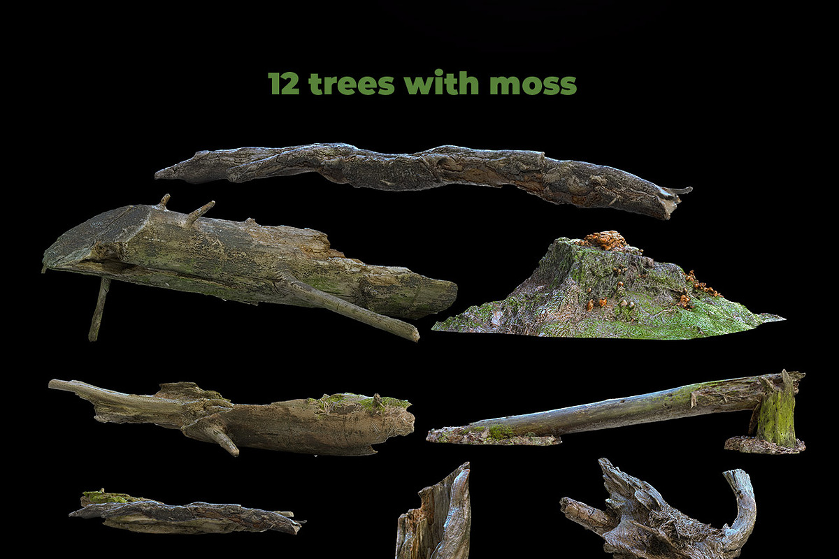Artistic Nature Mockup #01, a Product Mockup by ARKS ACADEMY (Photo 9 of 11)