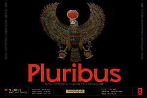 Pluribus - Serif font family, a Serif Font by Artistic & Unique