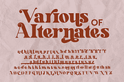 Mottelnight, a Serif Font by ahweproject (Thumbnail 7 of 11)