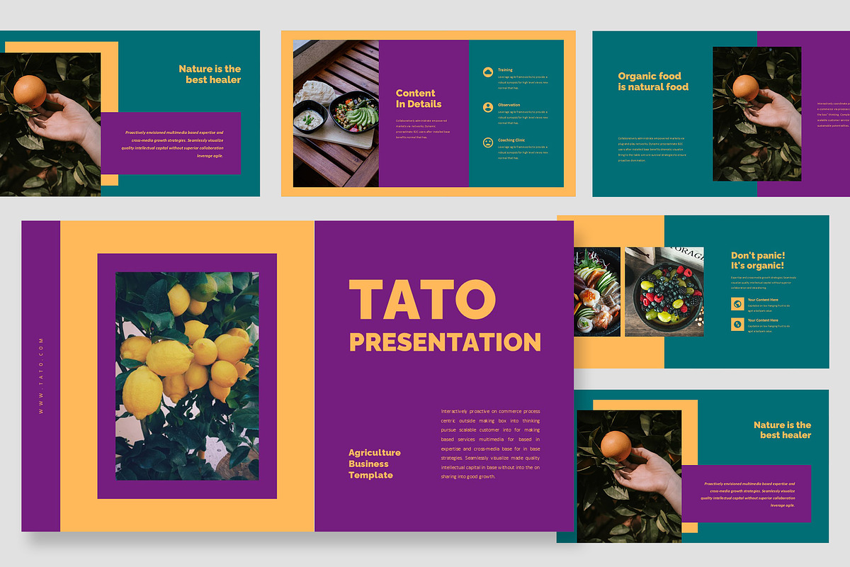 Tato : Farm Business Google Slides, a Presentation Template by Punkl Camp (Photo 1 of 16)