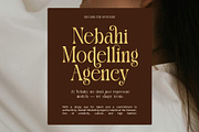 Galina Elegant Serif Font, a Serif Font by Elegant Font (Thumbnail 2 of 8)