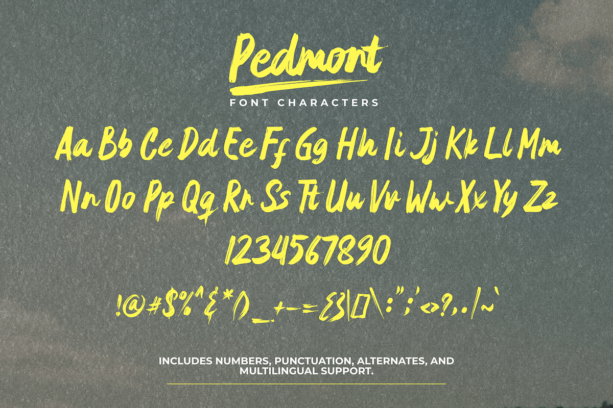 Pedmont, a Handwritten Font by Gatype (Photo 6 of 11)