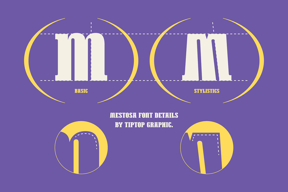 Mestosa - Funky Slab Serif, a Serif Font by Tiptop Graphic (Photo 3 of 10)