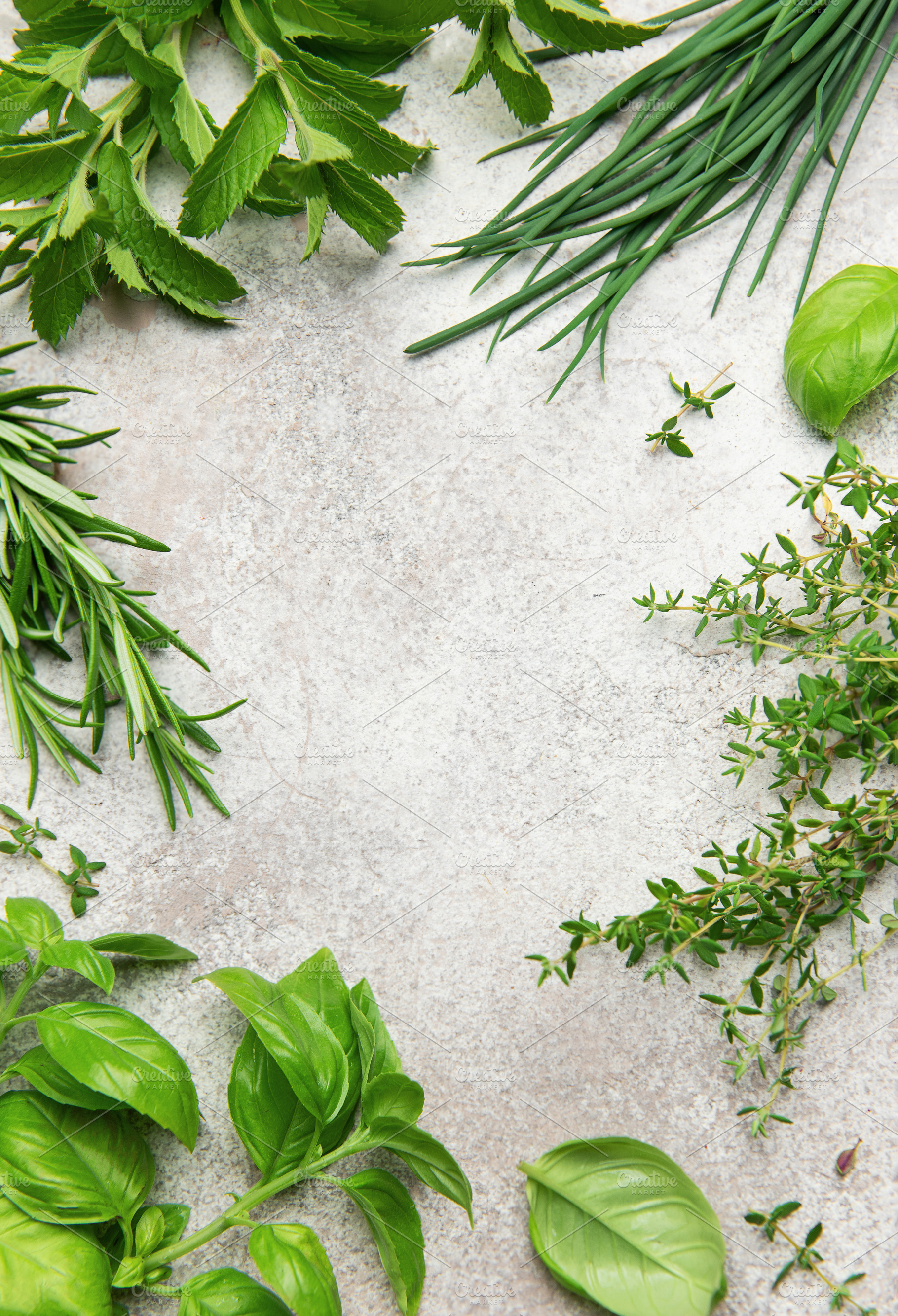 Fresh herbs bordering a rustic gray background for culinary desi, a Food & Drink Photo by Olena Rudo