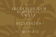 Whoper Elegant Serif Font Typeface, a Serif Font by Perfectype (Thumbnail 10 of 10)