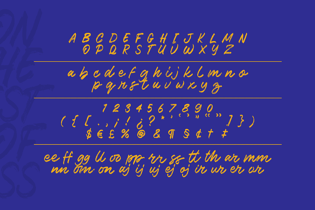 Melting Brushes, a Script Font by Bluestudio (Photo 9 of 9)