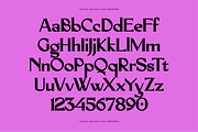 AO Orchid - Decorative Typeface, a Serif Font by OwunStudio (Thumbnail 2 of 15)