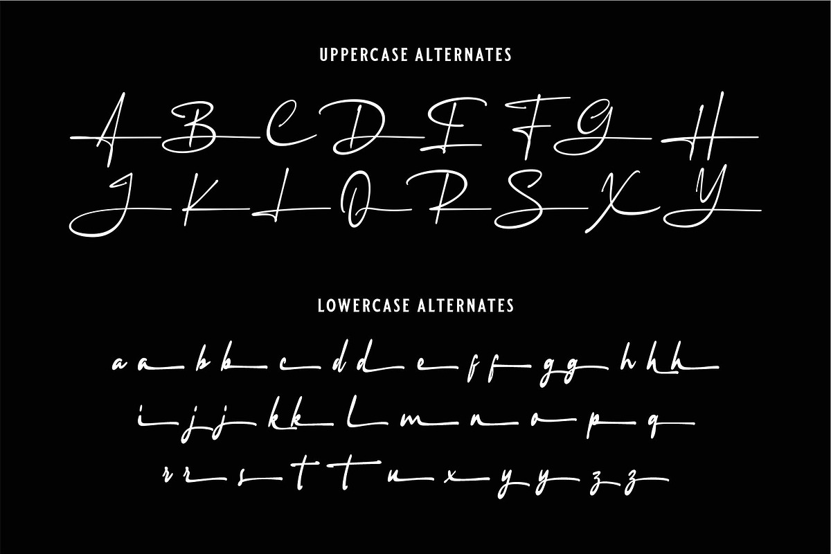 AUTHENTIC RADIO | Signature Logo, a Handwritten Font by Havinkpen (Photo 14 of 15)