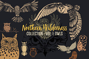 Northern Wilderness Collection: Owls, an Animal Illustration by Barn Owl Studio (Thumbnail 1 of 5)